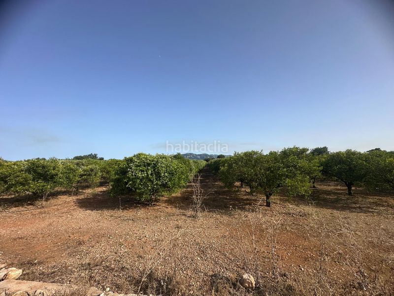 Foto 681d7577-8a4e-408c-b414-5c397a5ed423. Finca rústica a Masdenverge