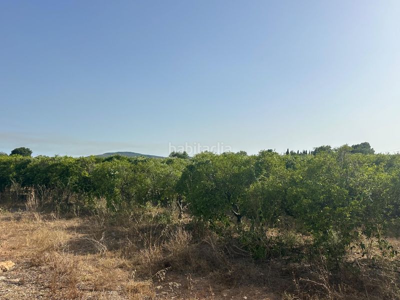 Foto c6650594-c55a-451b-9b0d-f9c758523eca. Finca rústica a Masdenverge