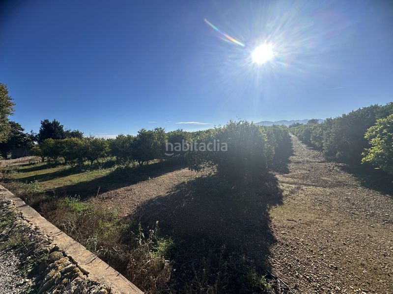 Foto cf8f2dfe-7627-4b55-86c6-b4d5ba718189. Finca rústica a Masdenverge