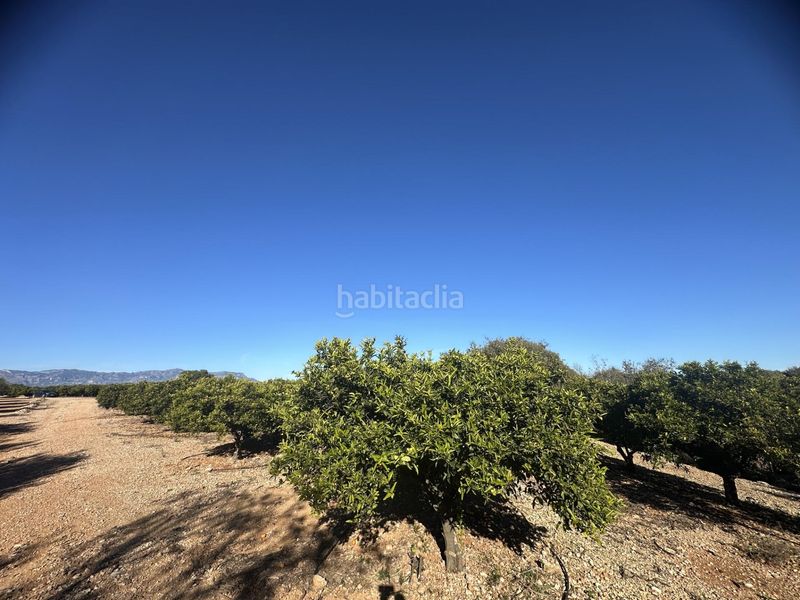 Foto f4a6f0bd-809f-4682-bd8d-145cf48918c8. Finca rústica a Masdenverge