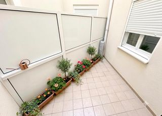Pis a Ampolla (L´). Piso en bajos para entrar a vivir en lampolla a 5 minutos de la