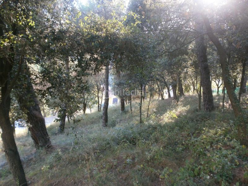 Foto 8f761a8a-6c04-473c-8b3d-b61850f0b4c8. Terreny residencial a Santa Maria de Palautordera