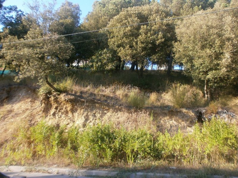 Foto d4914a32-b0b0-4656-b5a0-e872b2ed2593. Terreny residencial a Santa Maria de Palautordera