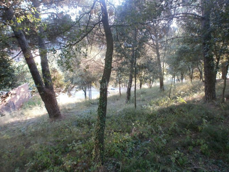 Foto f44ca71b-ec0b-4fbd-b4d3-d31d5ce02da8. Terreny residencial a Santa Maria de Palautordera