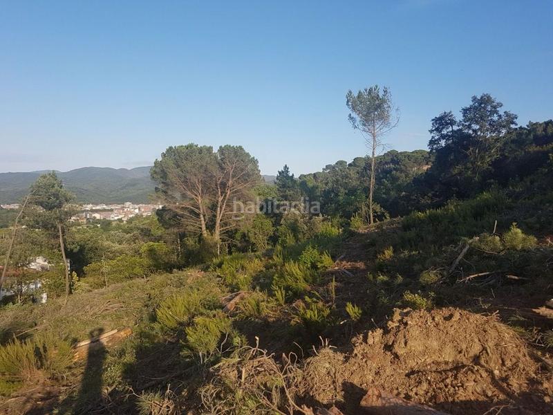 Foto 3f9ece59-760a-4e49-83ca-cd211e21bd70. Residential plot in Sant Celoni