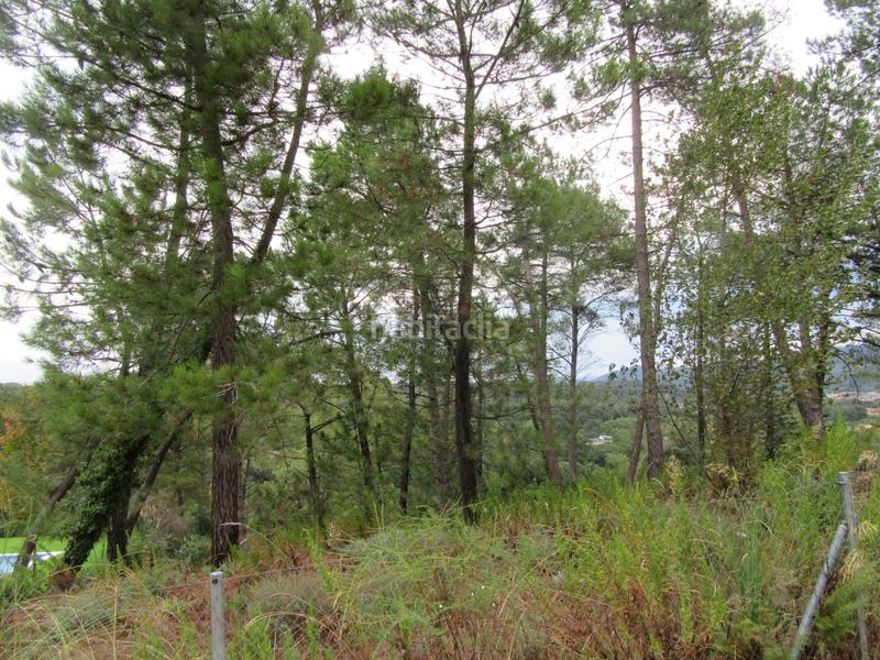 Foto 96686e08-d227-4c66-911a-eed29edbcaf5. Residential plot in Sant Celoni