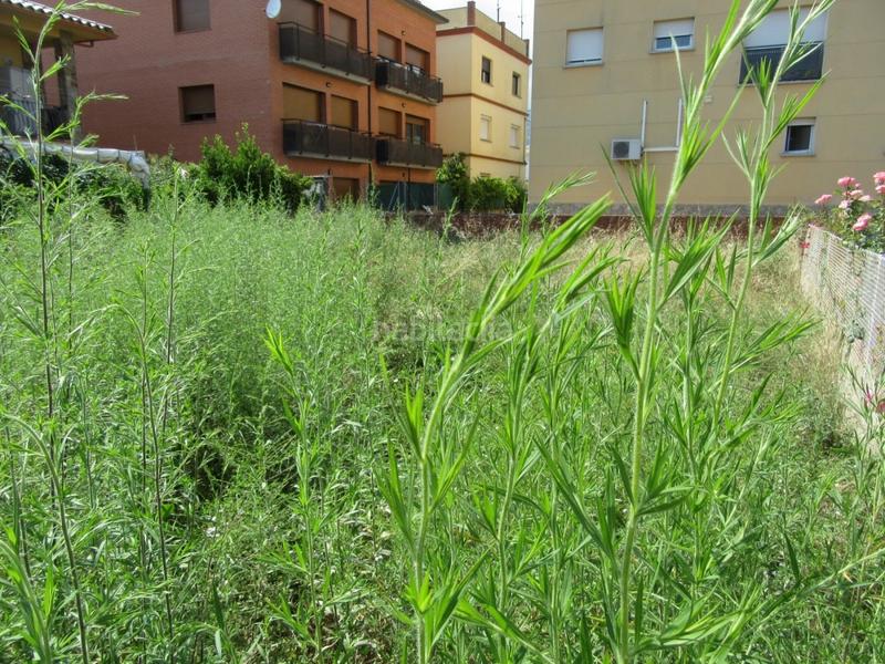 Foto 2592ac48-9c16-4798-acb5-b306e1f58cad. Terreno residencial pueblo solar urbano apto para máximo 3 viviendas en Riells i Viabrea