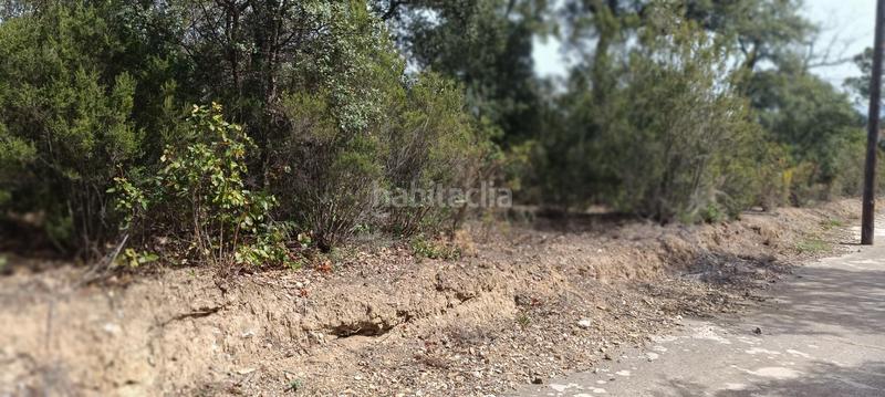 Foto 7cd4fb17-bcd6-4d42-908f-3c8fb0dabfe3. Terreno residenziale in Campins