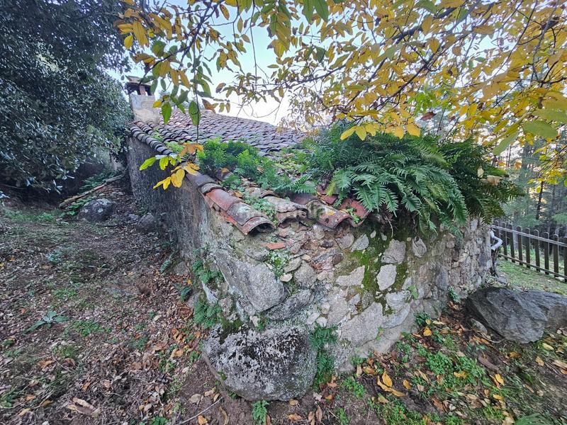 Foto 13347361-dd1e-47a3-b819-a2a88985e592. Masia a Riells i Viabrea