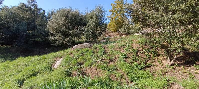 Foto 4d99ac92-ec17-448c-a776-ac1cf885be51. Masia a Riells i Viabrea