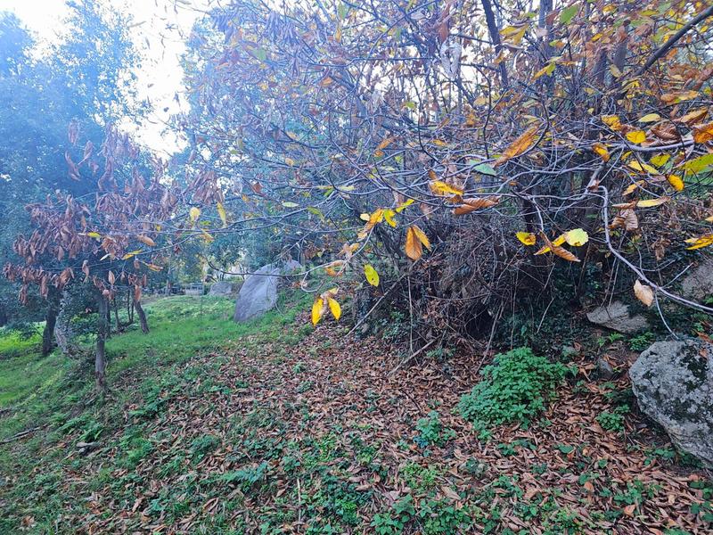 Foto 5cf20698-aab8-4834-b0e7-a38ee833880d. Masia a Riells i Viabrea