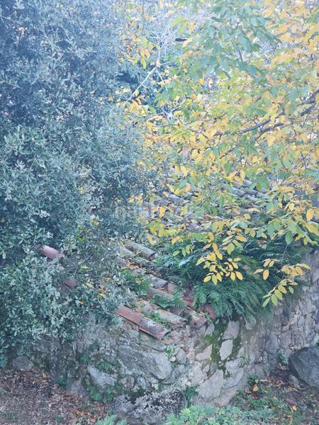 Foto 5de4e266-ae66-4ec8-8553-5c169ec6727f. Masia a Riells i Viabrea