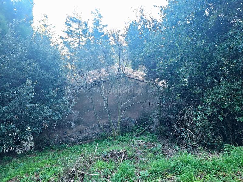 Foto 5e02036b-244b-4c60-b3fa-a4f19d883793. Masia a Riells i Viabrea