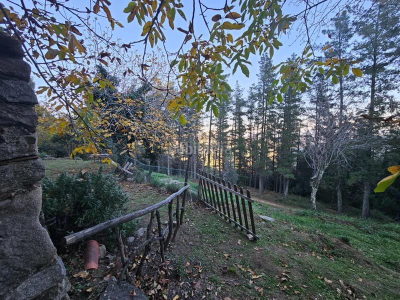 Foto 7f853004-d97a-4c34-8534-4a613e791571. Masia a Riells i Viabrea