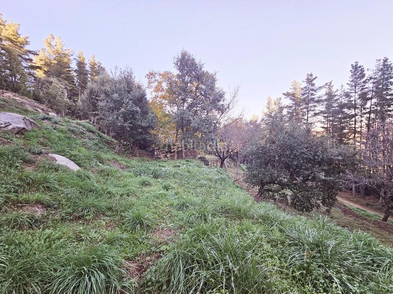 Foto 82a339fa-4525-4c74-8023-fce350e85121. Masia a Riells i Viabrea