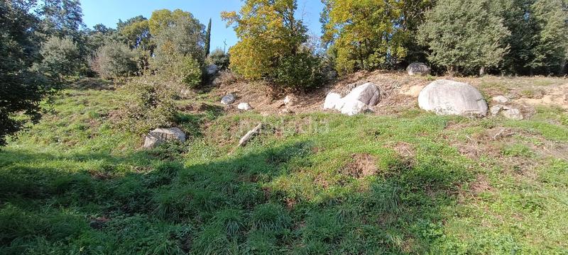 Foto 8379eb7a-de8c-4b33-9579-bc67cebd31b1. Masia a Riells i Viabrea