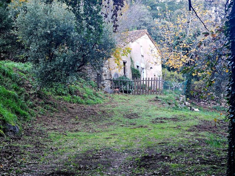 Foto 9477de4e-9cde-4d9b-bcbd-9cfb3ae94e8d. Masia a Riells i Viabrea