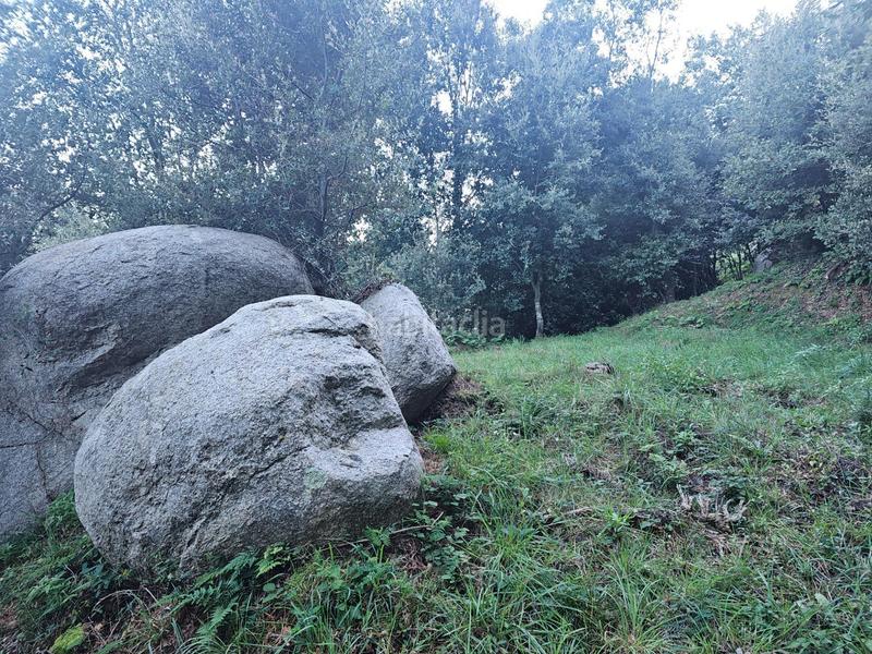 Foto ca7c9241-bb57-463a-afac-8fba07d4cdcf. Masia a Riells i Viabrea