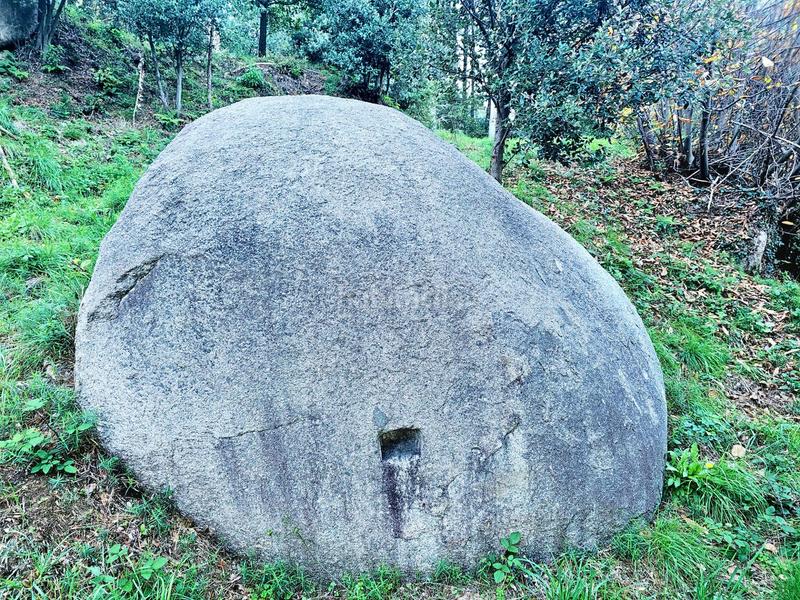 Foto e48313ce-5f38-4a60-a1b4-903d2f0c49ad. Masia a Riells i Viabrea