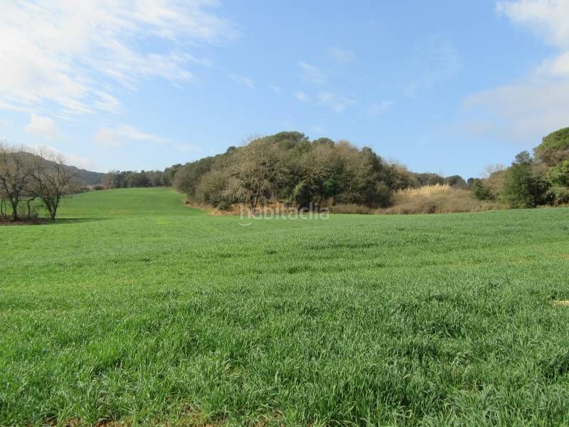Foto afdc6581-6d3f-40e7-a697-b7f81acb3a69. Finca rústica a Santa Maria de Palautordera
