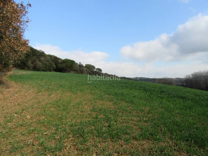 Foto bc756af4-67c0-4cd6-a0e8-f4e64931ebcb. Finca rústica a Santa Maria de Palautordera