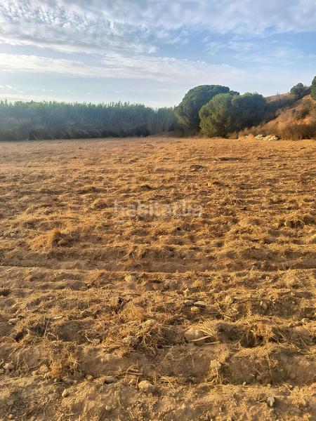 Foto 3ea276ea-6648-4168-aec8-d270929104de. Propriété dans Islantilla golf Islantilla