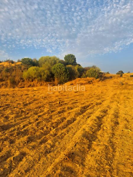 Foto 70a587af-f2bd-43ab-8ae0-9a9f4e8255ef. Propriété dans Islantilla golf Islantilla