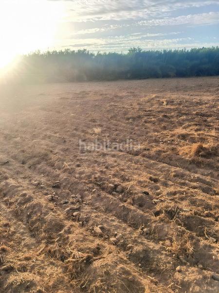 Foto 975b2cd3-bbf2-4650-b07b-27711116e70d. Propriété dans Islantilla golf Islantilla