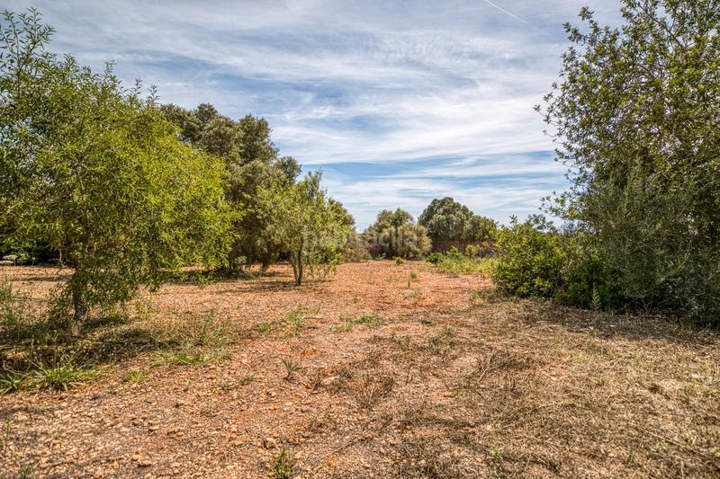 Foto 5fdb2be9-2e45-47ed-82d0-473f0ec1d325. Masía finca/ chalet rustica en Llucmajor interior Llucmajor