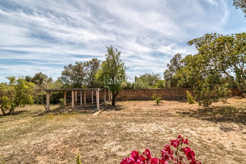 Foto 8c560d6e-5203-477d-8409-e96e2b36553a. Masía finca/ chalet rustica en Llucmajor interior Llucmajor