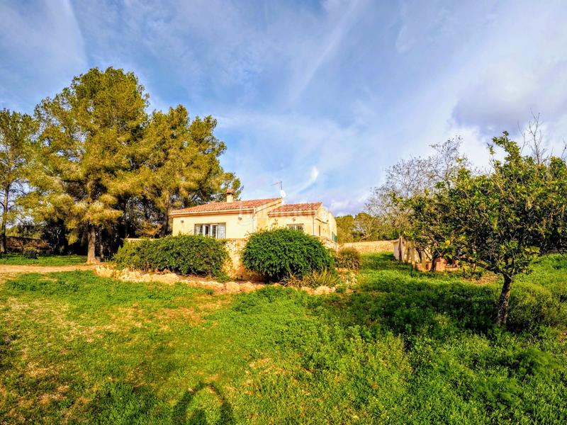 Foto ae6b4c25-6574-4ce5-9e6a-694ed0ab95f3. Masía finca/ chalet rustica en Llucmajor interior Llucmajor