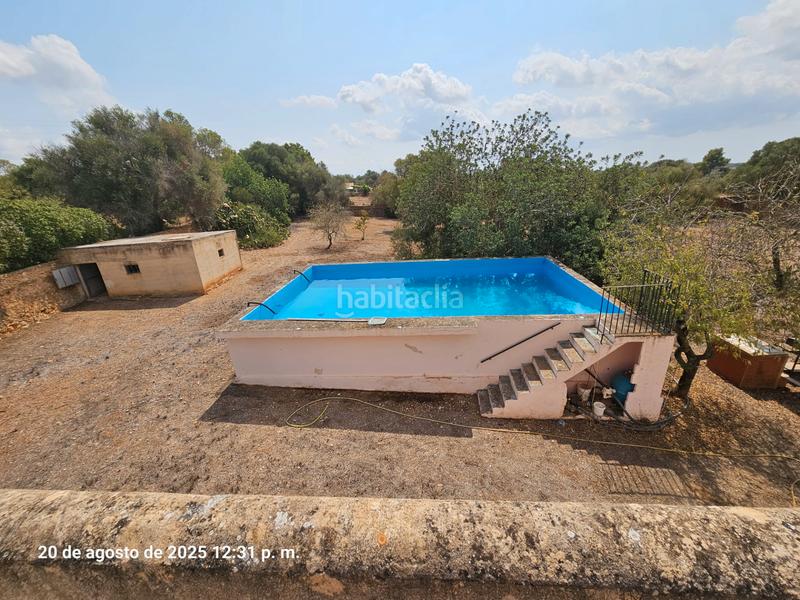Foto b8ffbcdd-4354-4bf3-b2bc-4a10fe97d3ff. Masía finca/ chalet rustica en Llucmajor interior Llucmajor