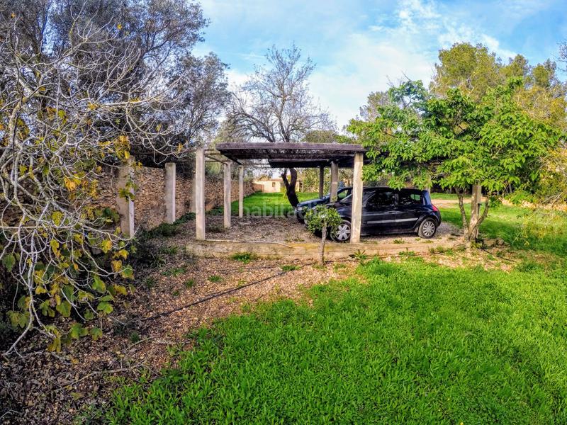 Foto fd7be07e-f98f-49af-a6c9-cc455f4bc5de. Masía finca/ chalet rustica en Llucmajor interior Llucmajor