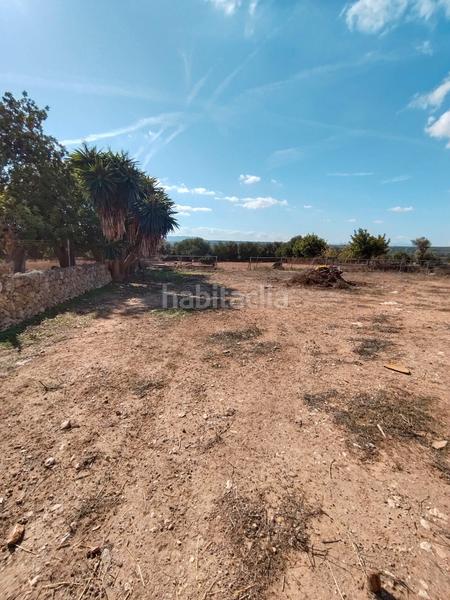Foto d79df78a-e098-4df2-942e-f1094a7acae3. Fondo rustico in Manacor centre Manacor
