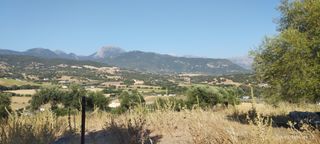 Finca rústica en Lugar diseminado 81. ?? parcela con vistas espectaculares a la sierra de cádiz – prad