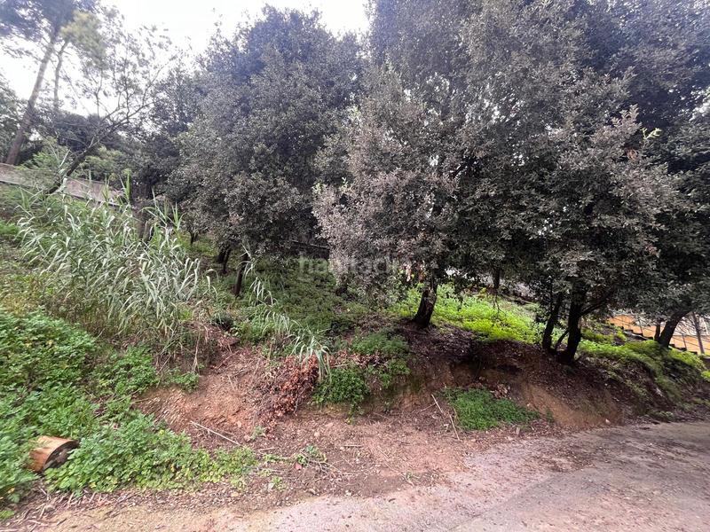Foto 88b7f962-06a3-4a64-b44e-95265c78d7ba. Terreno residenziale in La Floresta Sant Cugat del Vallès