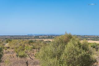 Rural plot in Ses Salines Poble. Terreno rústico en venta con vistas al mar en ses salines