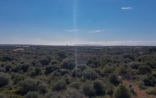 Rural plot in Ses Salines Poble. Terreno rústico con una excelente ubicación y preciosas vistas e