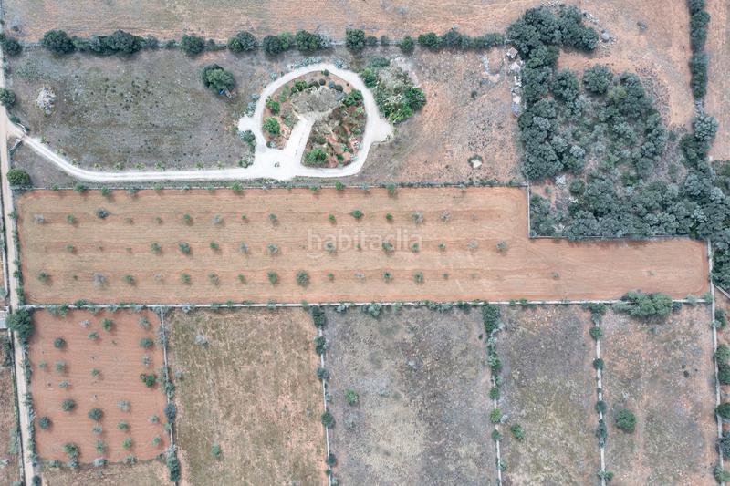 Foto 0f5f811d-a1d3-48ef-bfe6-00fb044251fa. Finca rústica a Santanyí poble Santanyí