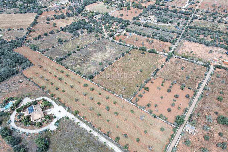 Foto 5c9dc2e6-e55d-497d-9005-64c8bf4d8dae. Finca rústica a Santanyí poble Santanyí