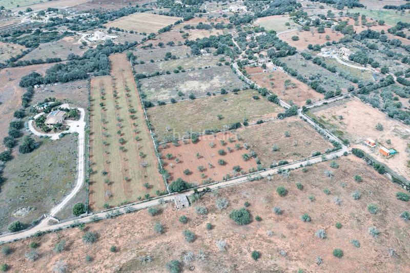 Foto 77358a61-b3cf-4d52-83e2-d18b1f720171. Finca rústica a Santanyí poble Santanyí