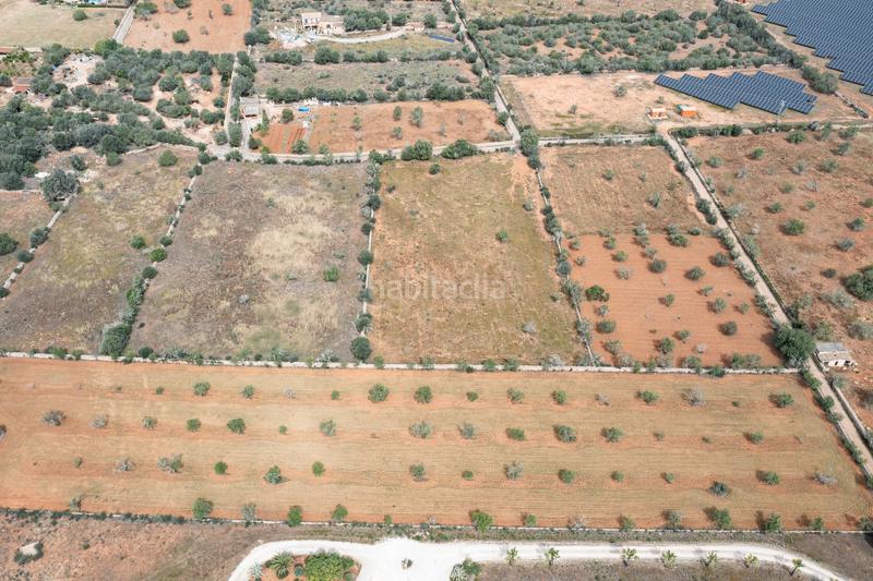 Foto 926281e9-0085-45c6-9a4c-a83a71a9e206. Finca rústica a Santanyí poble Santanyí
