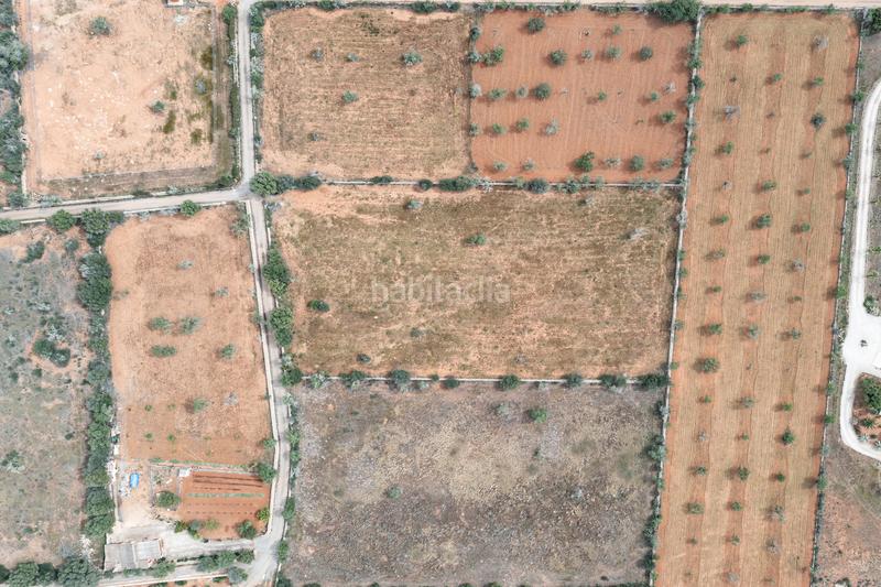 Foto 96622e81-6297-4289-a828-3366307766f3. Finca rústica a Santanyí poble Santanyí
