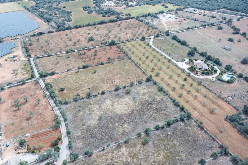 Foto 9efaceff-7b94-420f-9cfb-7426ca9d19d2. Finca rústica a Santanyí poble Santanyí