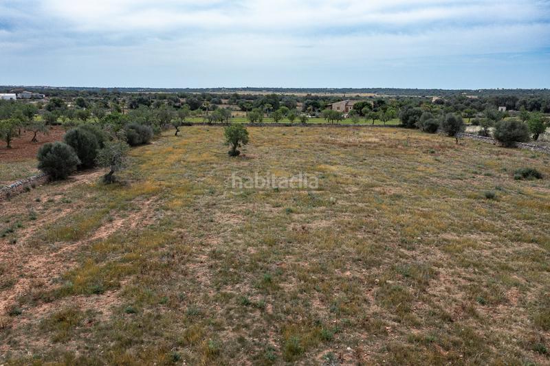Foto a0284d4e-91e6-4607-9046-439895433f9e. Finca rústica a Santanyí poble Santanyí