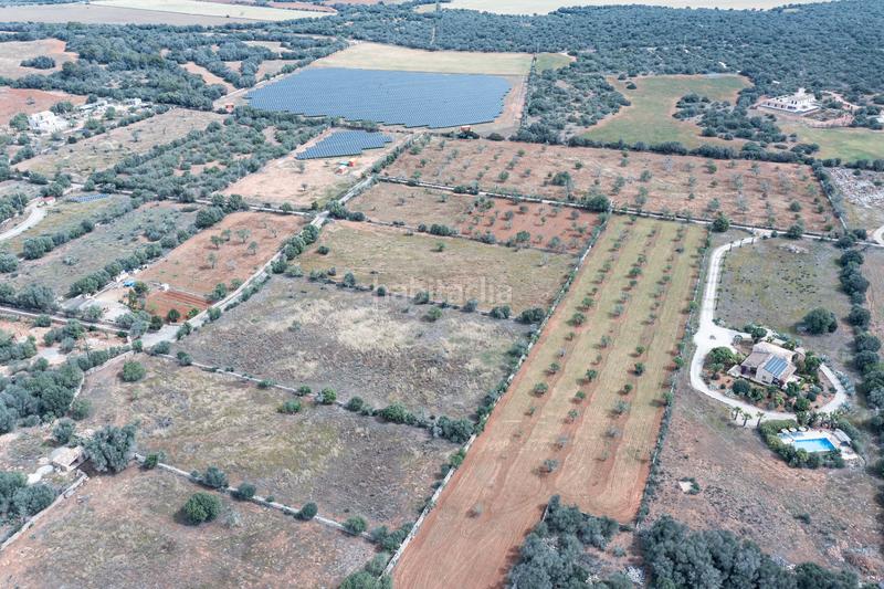 Foto aace8922-4283-430c-beda-799481e56bad. Finca rústica a Santanyí poble Santanyí