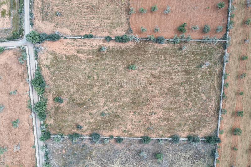 Foto d8373508-70d8-4de1-9059-3fee6122ace1. Finca rústica a Santanyí poble Santanyí
