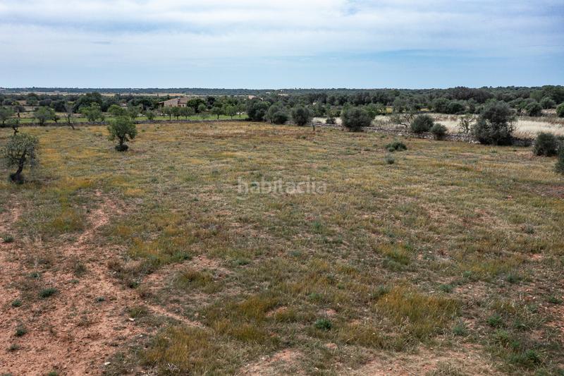 Foto f5318310-ef7b-45ae-995b-4f1115a228be. Finca rústica a Santanyí poble Santanyí