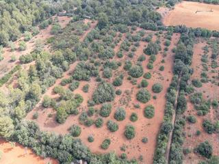 Rural plot in Porreres. Terreno edificable en venta junto a porreres