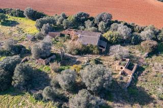 Rural plot in Llucmajor Interior. Finca rústica en venta junto a cala pí
